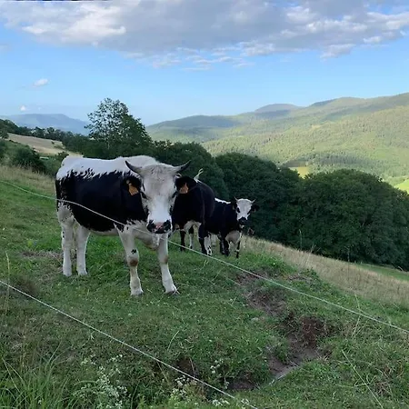 Containair , Terrasse Et Vue Exceptionnelles فيلة