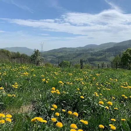 Containair , Terrasse Et Vue Exceptionnelles فيلة